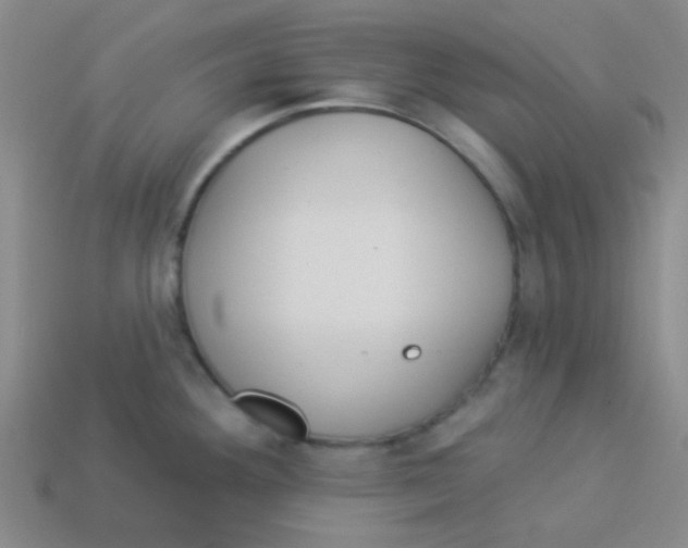 X0000113361292200910131253