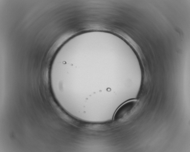 X0000113361293200910131253