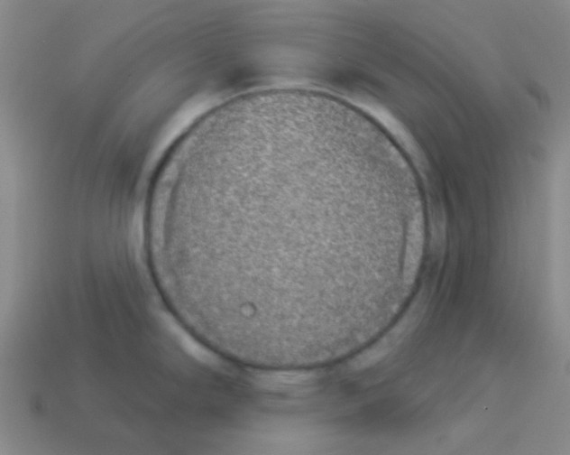 X0000113361294200910131253