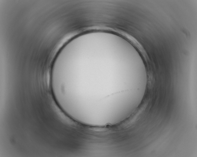 X0000113361295200910131253