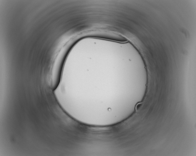 X0000113361296200910131253