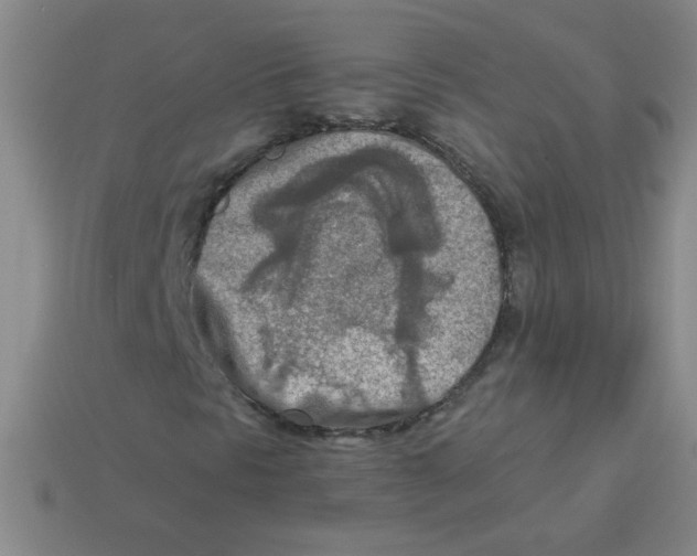 X0000113361297200910131252