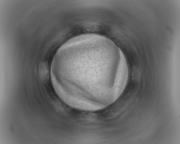 X0000113361298200910131252