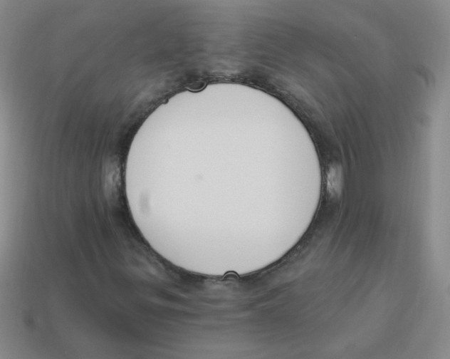 X0000113361299200910131252