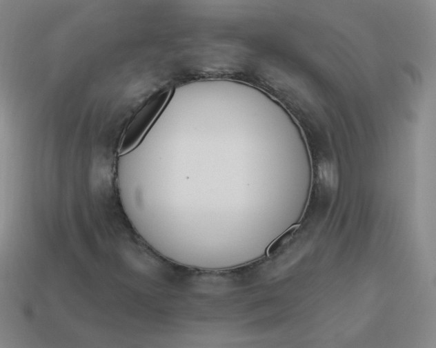 X0000113361300200910131252