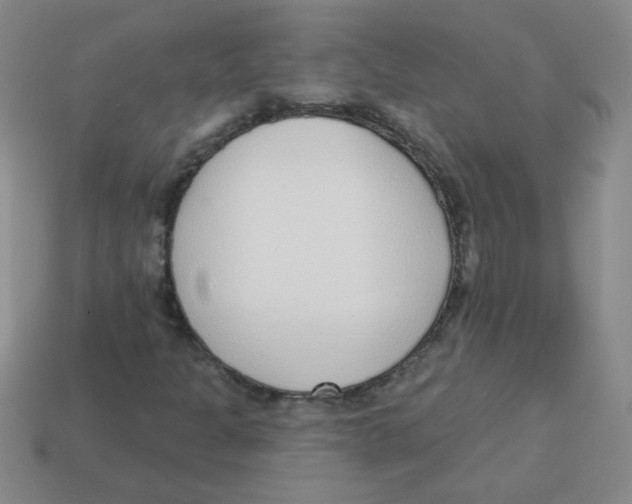 X0000113361301200910131252