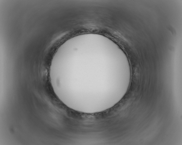 X0000113361302200910131252