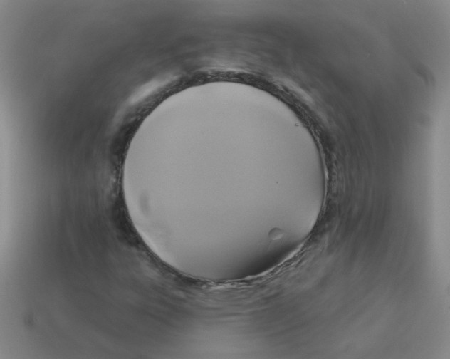 X0000113361303200910131252