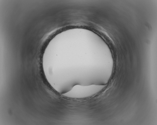 X0000113361304200910131252