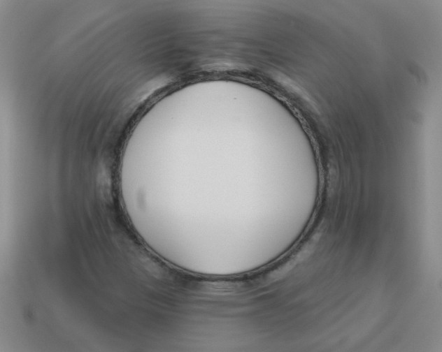 X0000113361305200910131252