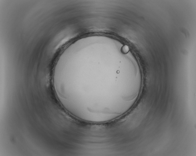 X0000113361306200910131252