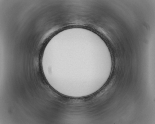 X0000113361307200910131252