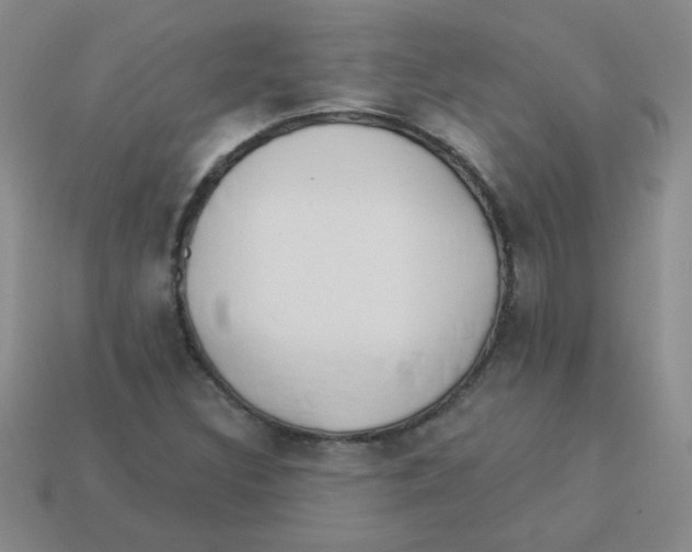 X0000113361308200910131252