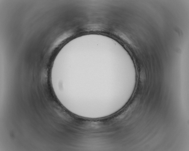 X0000113361309200910131252