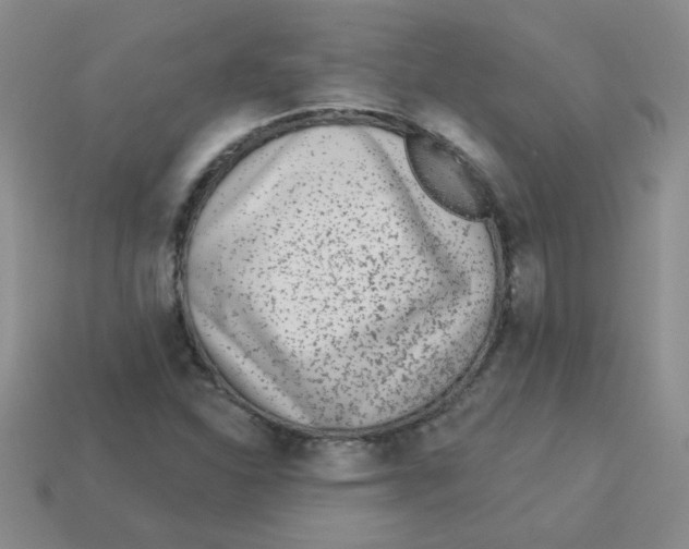 X0000113361310200910131252