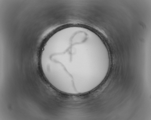 X0000113361311200910131252