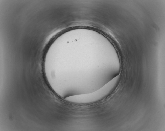 X0000113361312200910131252