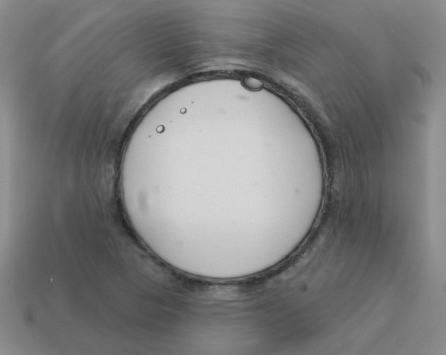 X0000113361313200910131252