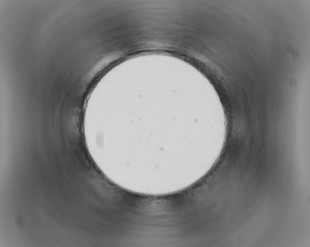 X0000113361314200910131252