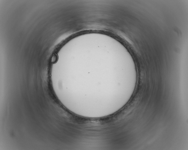 X0000113361315200910131252