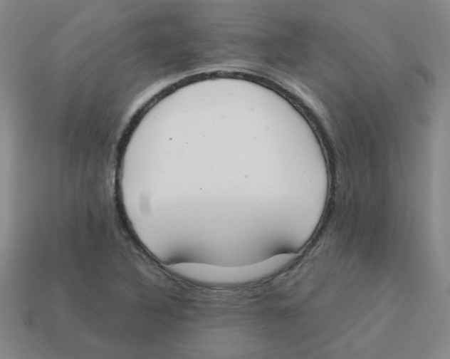 X0000113361316200910131252