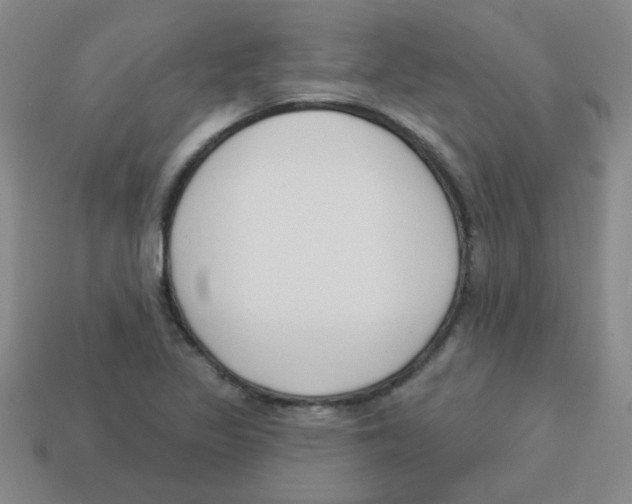 X0000113361317200910131252