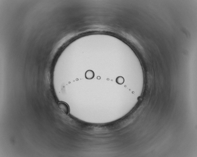 X0000113361318200910131252