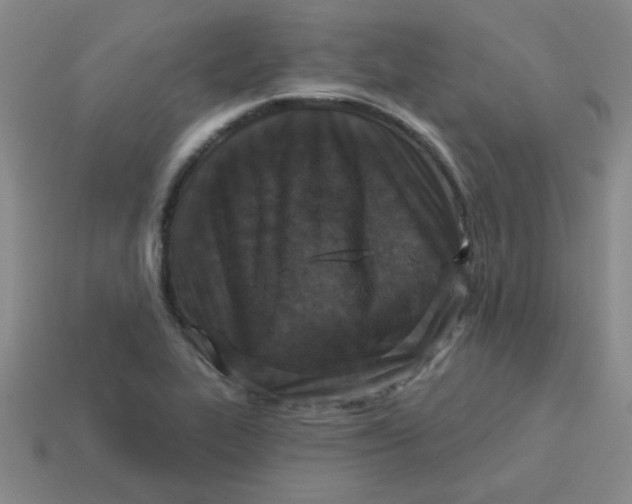 X0000113361319200910131252