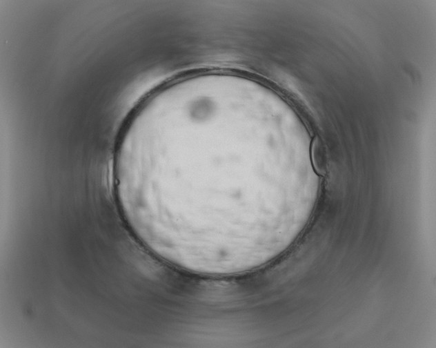 X0000113361320200910131252