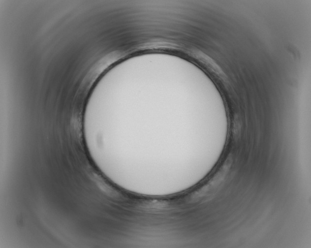 X0000113361321200910131252