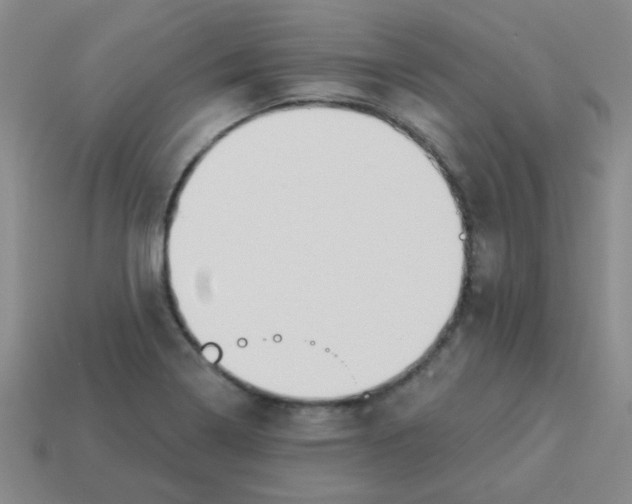 X0000113361322200910131252