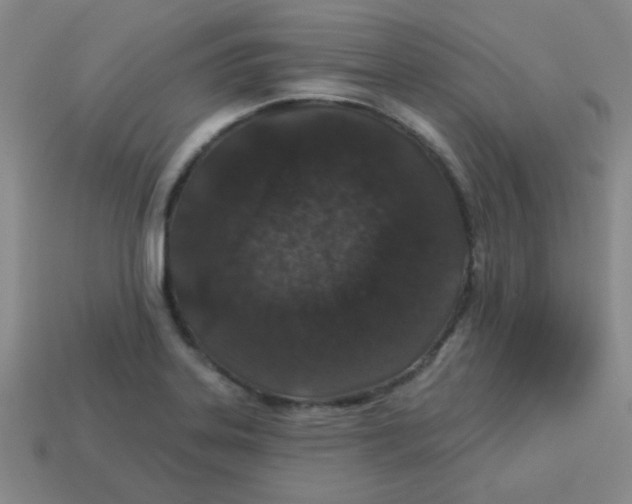 X0000113361323200910131252