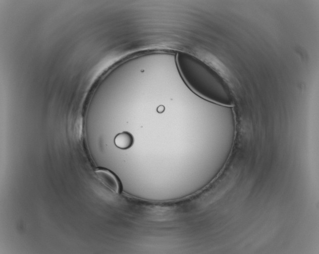 X0000113361324200910131252