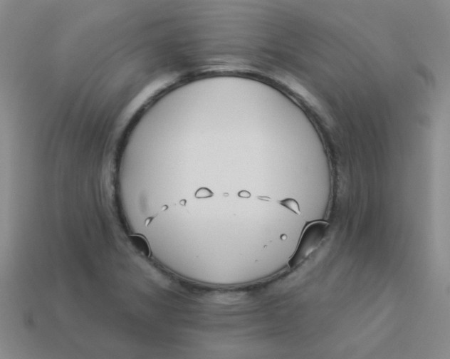 X0000113361325200910131252