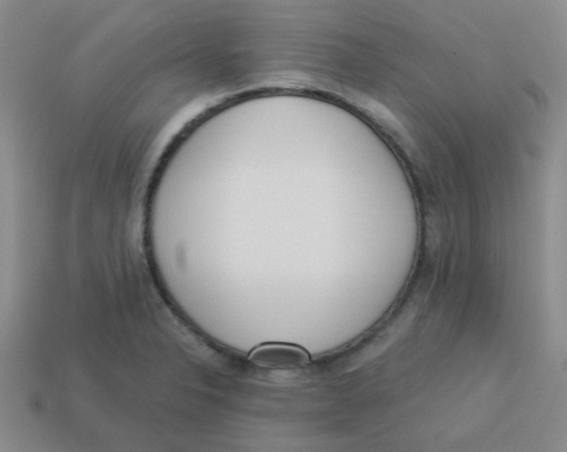 X0000113361326200910131252