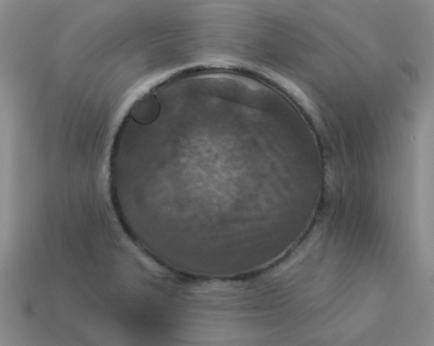 X0000113361327200910131252