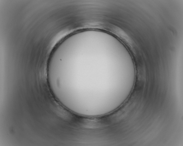 X0000113361328200910131252