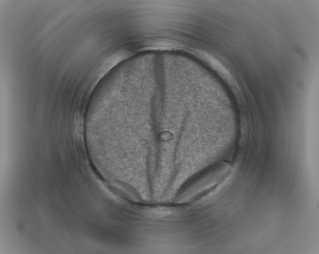 X0000113361329200910131252