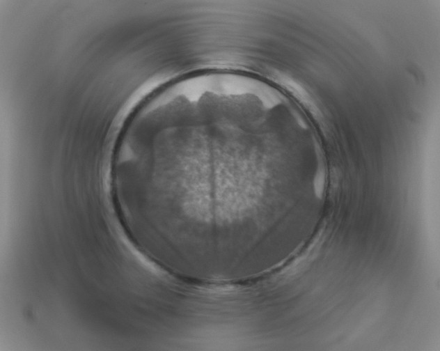 X0000113361331200910131252