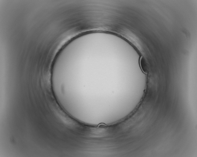 X0000113361332200910131252