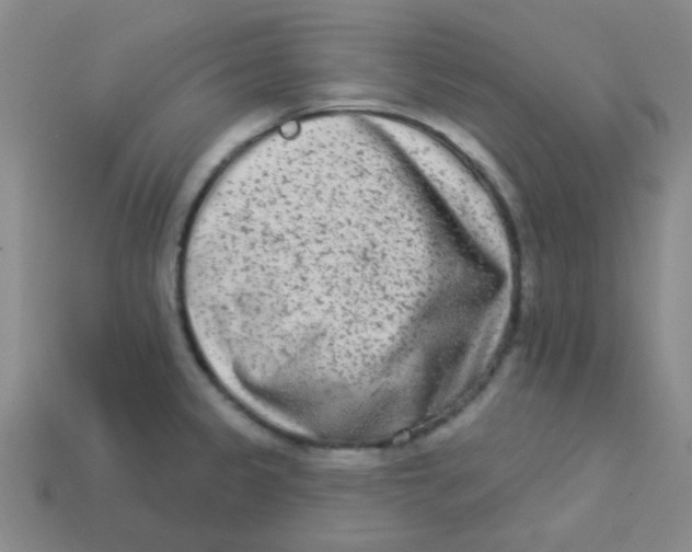 X0000113361333200910131252