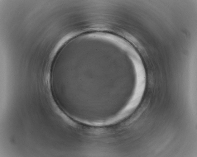 X0000113361334200910131252