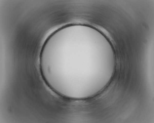 X0000113361335200910131252