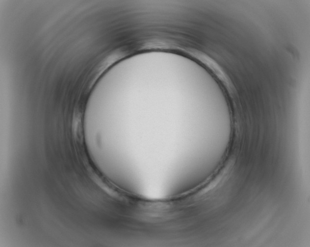 X0000113361337200910131252