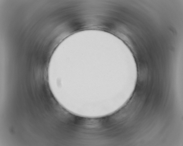 X0000113361338200910131252