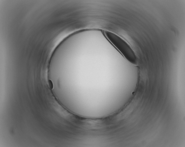 X0000113361340200910131252