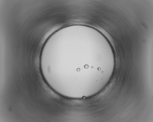 X0000113361341200910131252