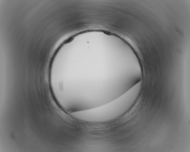 X0000113361342200910131252