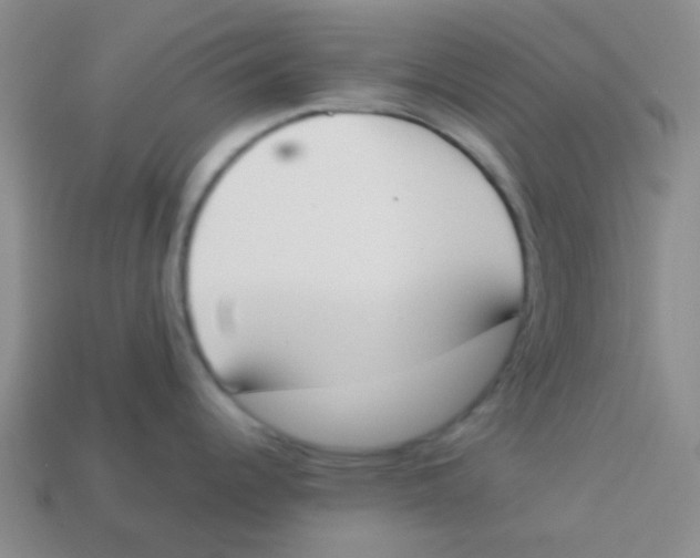 X0000113361344200910131252