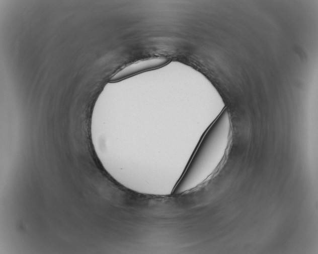 X0000113361345200910131252